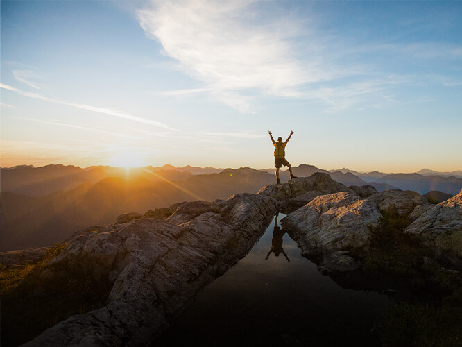 共創(chuàng)鮮麗與將來